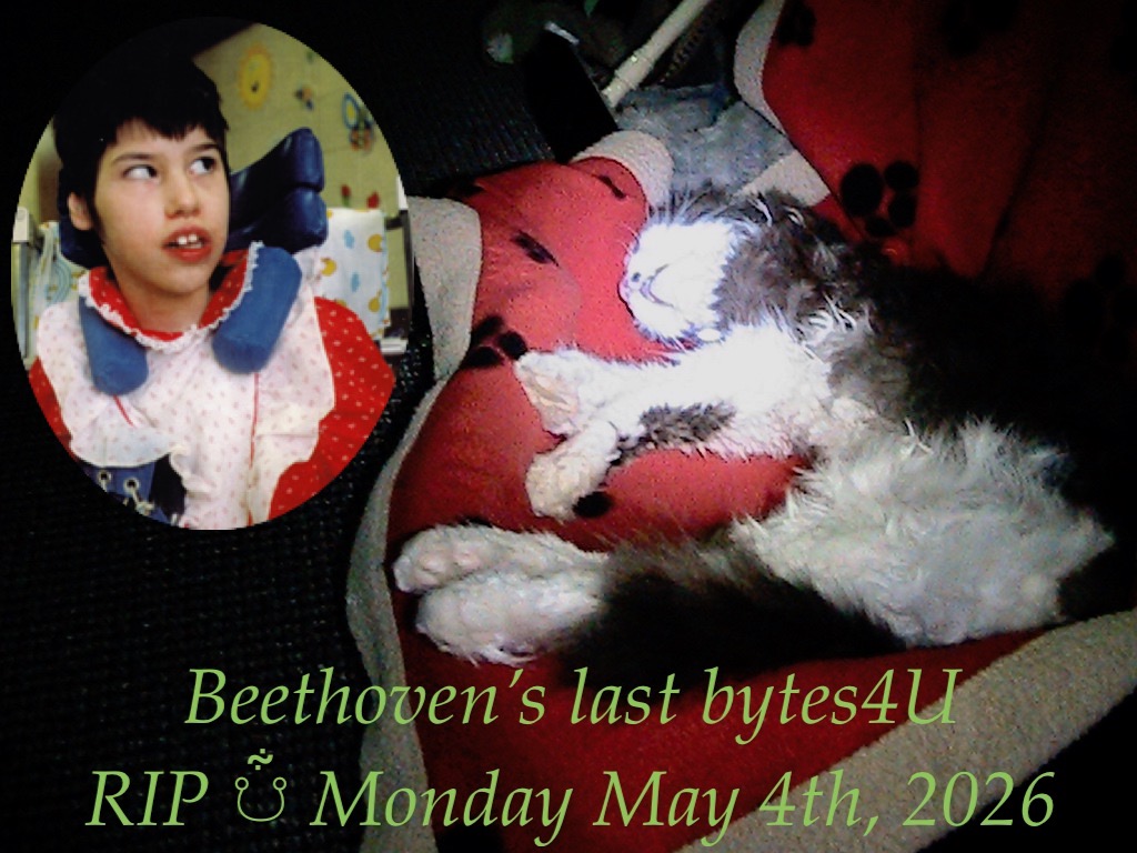 Tracy & Beethoven